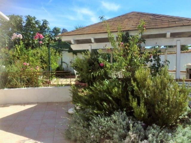Appartement 3 Chambres Proche Mer Entre Palavas Les Flots Et Frontignan Plage Dans Maison Avec Jardin Villeneuve-lès-Maguelonne Exterior foto